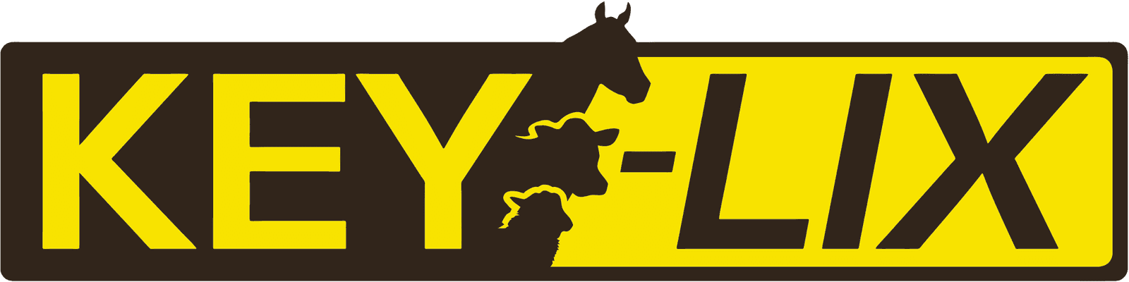 Home 40 key-lix-logo