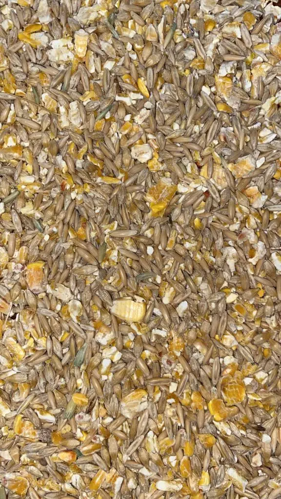 3-Way COB Grain Mix for Horses Cattle and Sheep