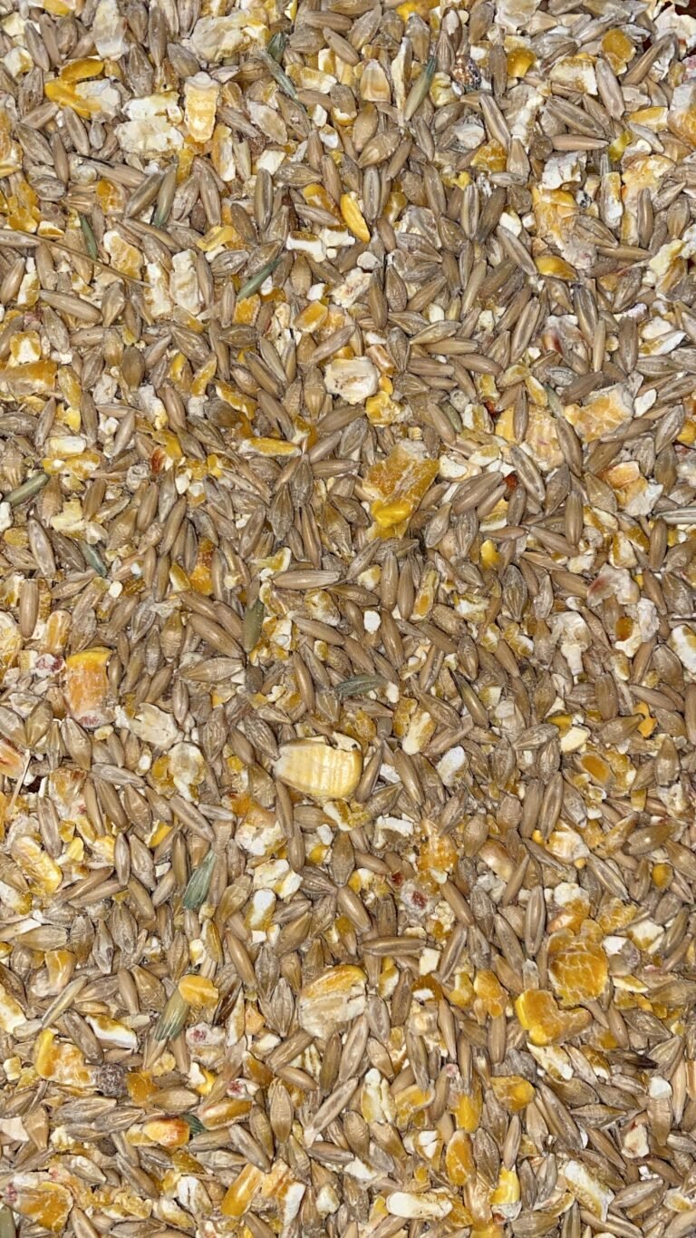 3-Way C.O.B. (Corn, Oats, Barley) with Rolled Oats