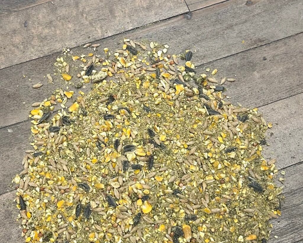 Razorz Soy-Free Non-GMO Layer Feed