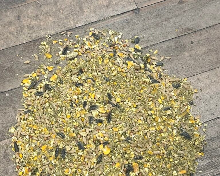 Razorz Layer Non-GMO