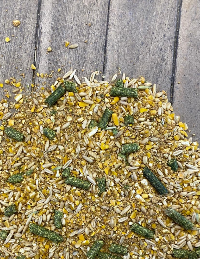 15% Premium Goat Feed