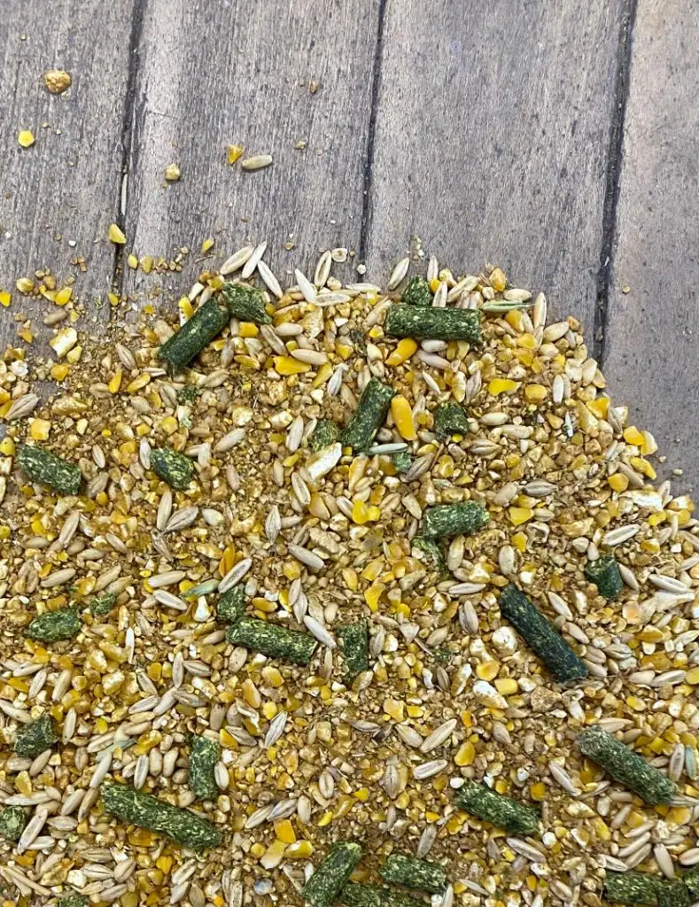 Premium Goat Feed 15% Protein