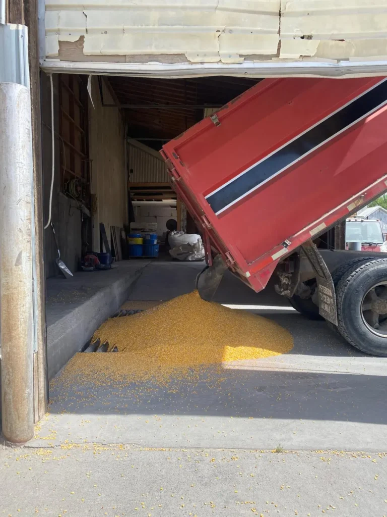 Home 3 Fresh livestock feed being delivered to our feed store Delta CO for local farmers and ranchers.